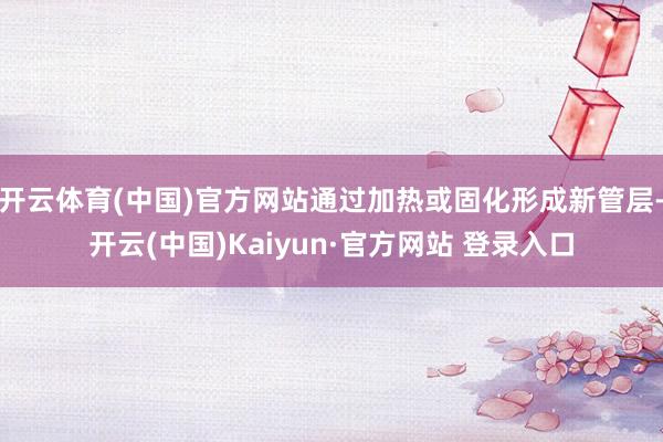 开云体育(中国)官方网站通过加热或固化形成新管层-开云(中国)Kaiyun·官方网站 登录入口