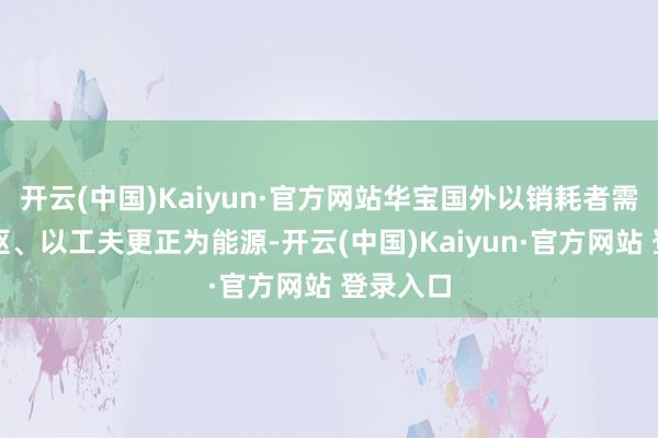 开云(中国)Kaiyun·官方网站华宝国外以销耗者需求为中枢、以工夫更正为能源-开云(中国)Kaiyun·官方网站 登录入口