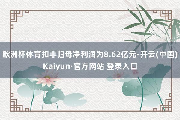 欧洲杯体育扣非归母净利润为8.62亿元-开云(中国)Kaiyun·官方网站 登录入口