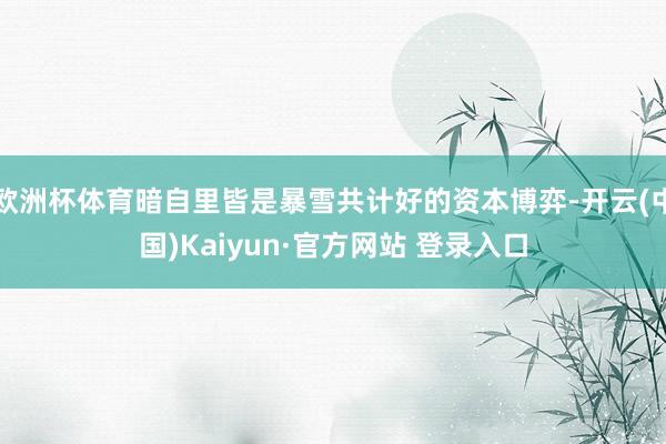 欧洲杯体育暗自里皆是暴雪共计好的资本博弈-开云(中国)Kaiyun·官方网站 登录入口