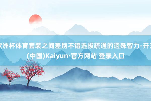 欧洲杯体育套装之间差别不错选拔疏通的迥殊智力-开云(中国)Kaiyun·官方网站 登录入口