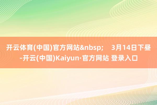 开云体育(中国)官方网站&nbsp;    3月14日下昼-开云(中国)Kaiyun·官方网站 登录入口